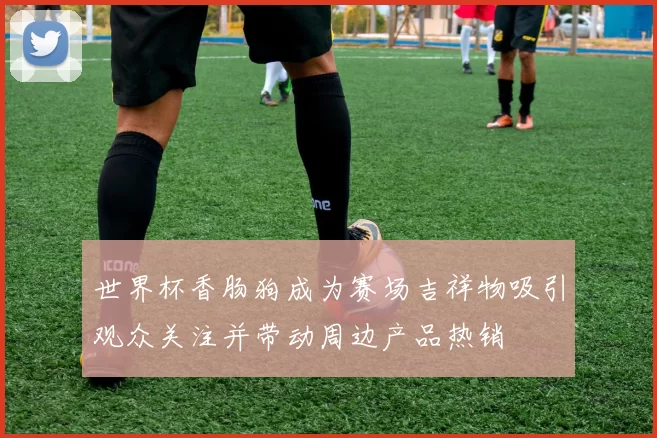 世界杯香肠狗成为赛场吉祥物吸引观众关注并带动周边产品热销