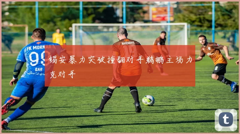 锡安暴力突破撞翻对手鹈鹕主场力克对手