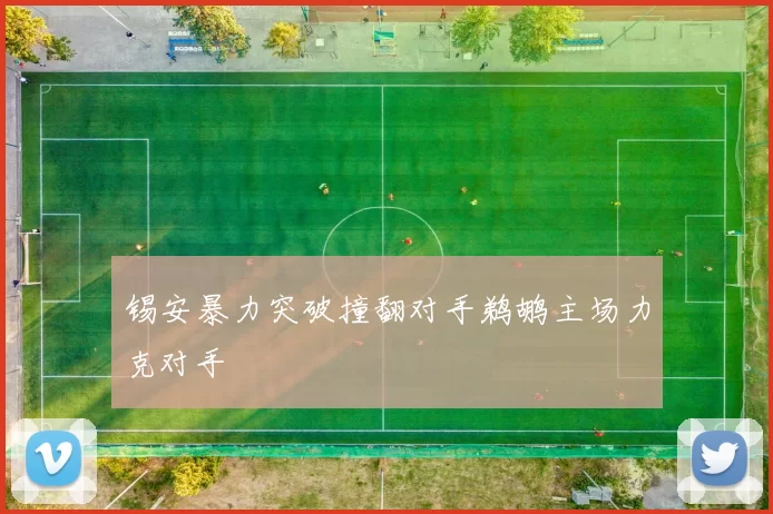 锡安暴力突破撞翻对手鹈鹕主场力克对手
